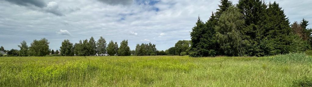 Działka dla dewelopera, borowina 1,87ha, mn