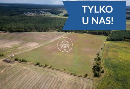 5 ha terenu inwestycyjnego | dąbrówka nowa | s10