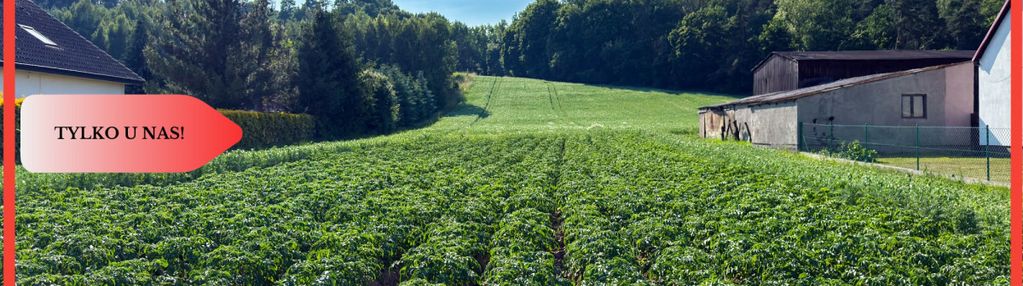 Tylko u nas! działka-1,13ha-gruczno-media-wz