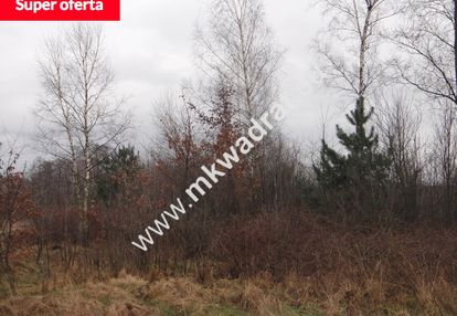 Oferta dla inwestorów duża powierzchnia