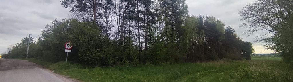 Górki duże tuszyn działki pod usługi mieszkania