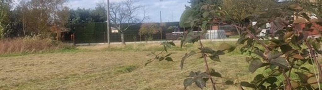 Działka przy głównej drodze.