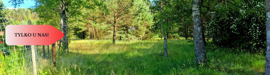 Tylko u nas! działka przy wdzie w borach tucholski