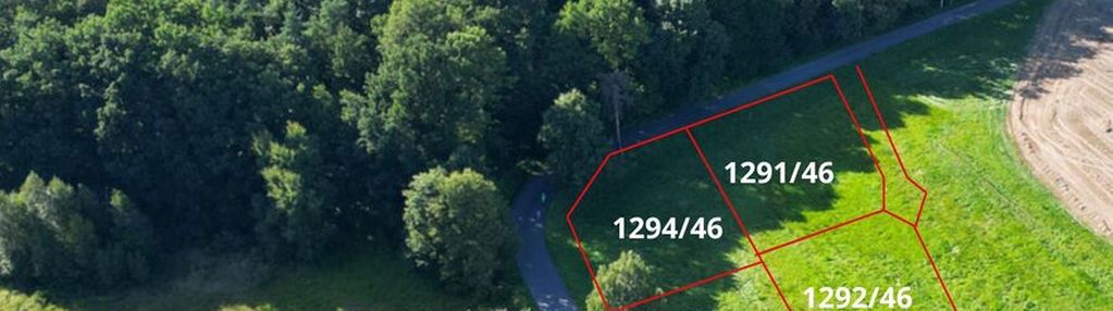 Malownicze pasieki, las, media i asfalt !