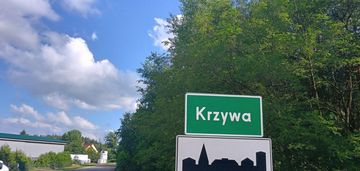 Działka siedliskowa krzywa