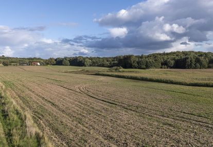 3,5 ha gruntu rolnego. strużyna koło pasłęka
