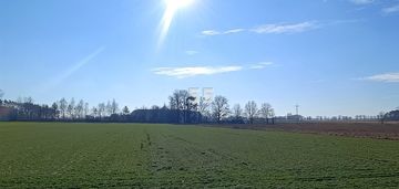 Duża działka w pięknej, spokojnej lokalizacji
