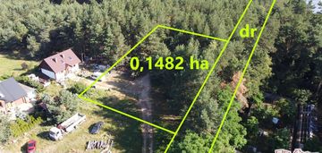 Działka ze ścianą lasu