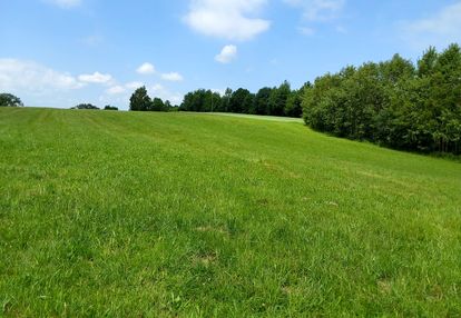 Działa Złota Zainwestuj w spokój, naturę i widoki