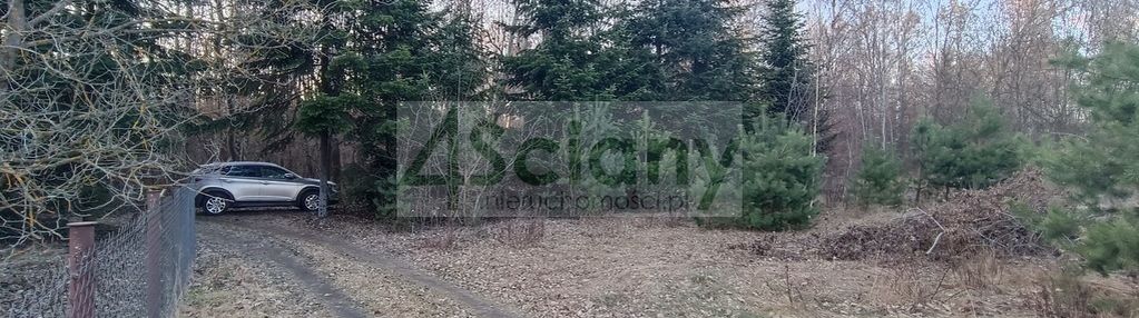 Piękna działka z lasem, ojrzanów