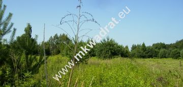 Działka w pobliżu lasu wolica-janki od mkwadrat.eu