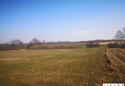 Działka rolna, gmina sicienko