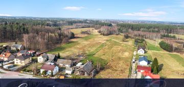 Do zagospodarowania | 88,61 ara | droga asfalt