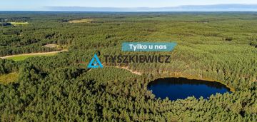 Las z własnym jeziorem - nierostowo