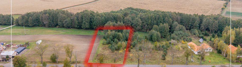 Boduszewo | puszcza zielonka | bez prowizji!