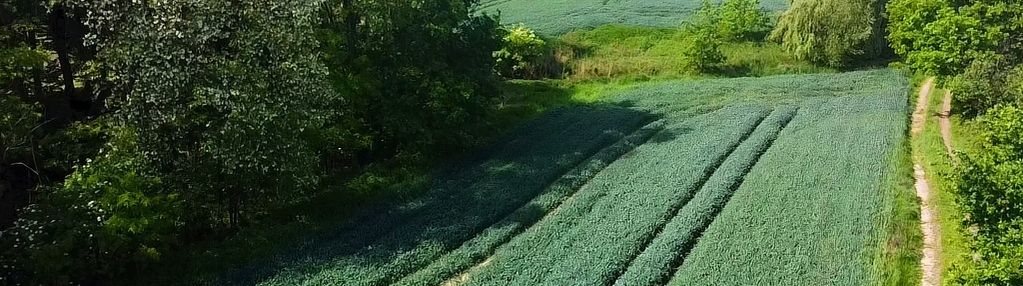 Działka z lasem i widokiem na góry 4 ha