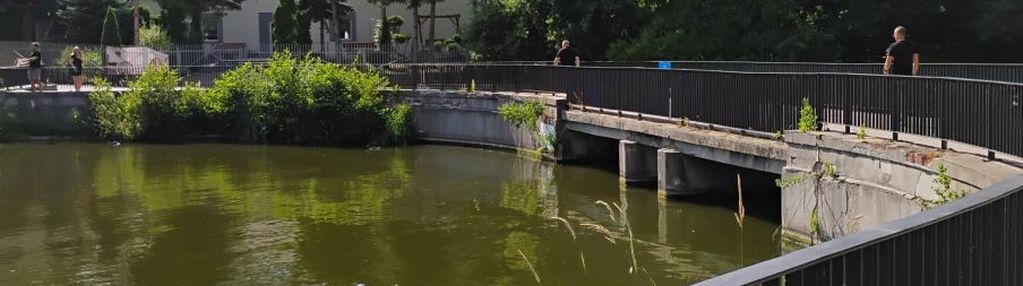 Ostatnie w tym układzie❗☘️stawy stefańskiego