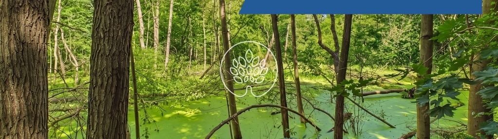 Siedlisko nad rzeką- 4300 m² - 70m linii brzegowej