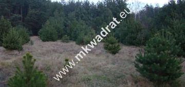 Zalesie działka 1243m2