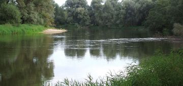 Działka nad bugiem