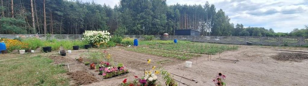Zabudowana działka granicząca z lasem, adamów gm. bełchatów