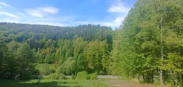 Widokowa działka w sąsiedztwie jeziora - ok 1 km