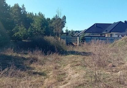 Nieruchomość nad zalewem z prywatnym lasem!