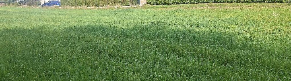 Działka budowlana w janowicach