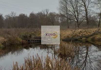 Duża działka ze stawem i możliwością zabudowy