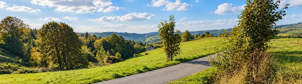 Działka rolna z widokiem na beskid sądecki-działki sąsiednie budowlane