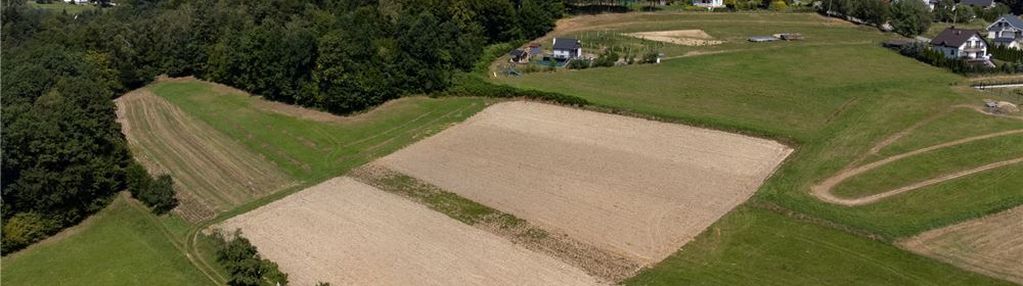 Prywatny las 3331 m2 - twoja przestrzeń w naturze