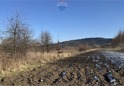 Działka rolna 1 ha chocznia obok wadowic
