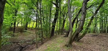 Działka budowlana przy lesie oraz strumyku