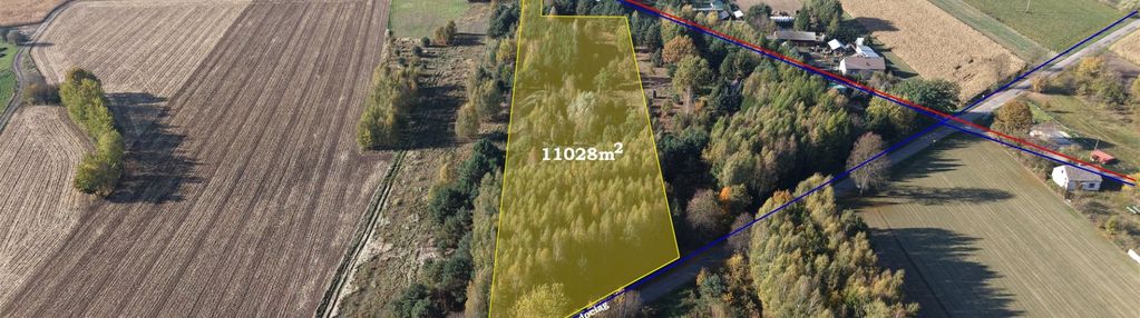 Duża zadrzewiona działka nieopodal wkry.