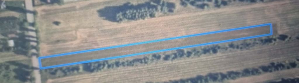 Działka rolna 5800 m2 -dąbrowa, gm mrozy