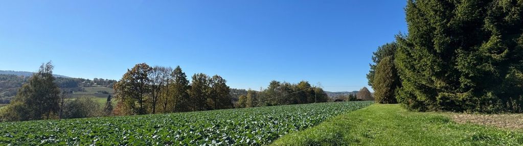 Interesująca rzadka, okazja - wiele możliwości