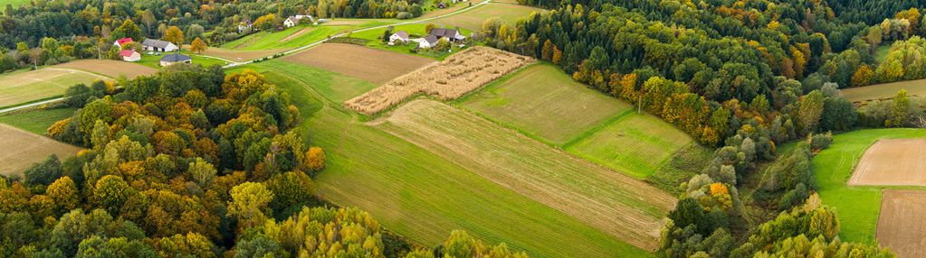 Działka  lichwinie. rolno-leśna, okazja !!