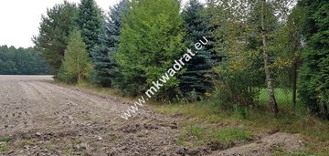 Działka w otulinie lasu