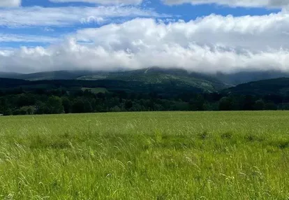 Duża działka budowlana Pobiedna 1,65ha (3 działki)