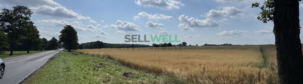 Działka inwestycyjna 3,39 ha - dalików