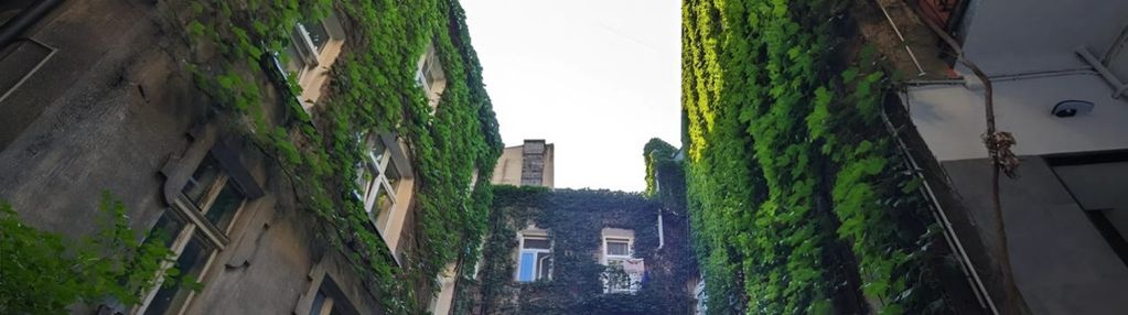 Orzeszkowej / dietla, 37m²: 2 pokoje w centrum