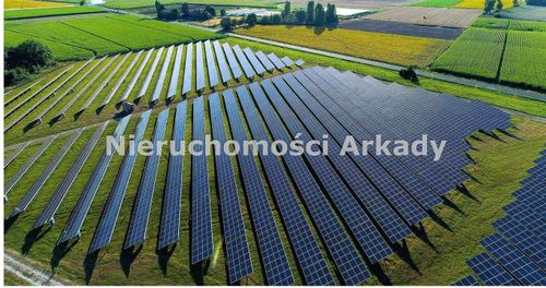 Farma fotowoltaiczna / duże zyski