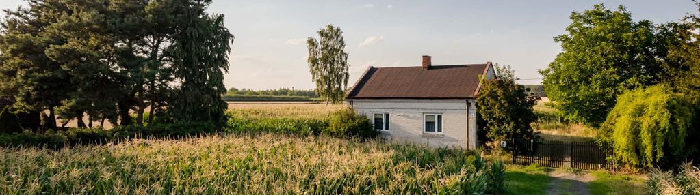 Działki z potencjałem na piękne siedlisko!