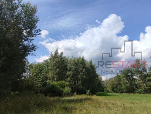 Piękna działka przy lesie – 4400 m²
