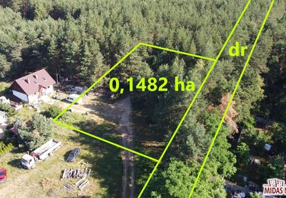 Działka ze ścianą lasu