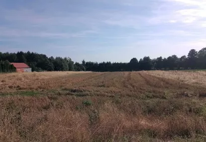 Działka na sprzedaż 1000m2