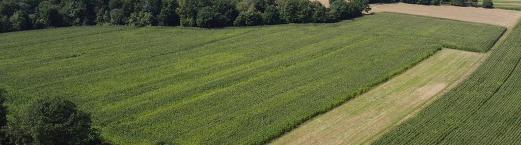 Działka z wz  borzęcin - wisowatki.