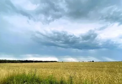 Kostomłoty, Jarząbkowice. Działka budowlana w cich