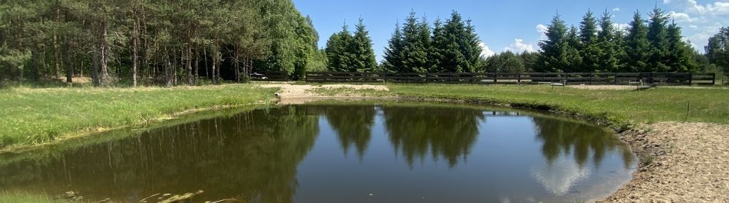 Działka ze stawem