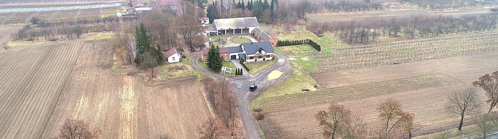 Działki budowlane w łęgonicach